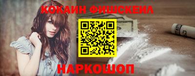 стафф Кингисепп