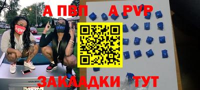 стафф Кингисепп