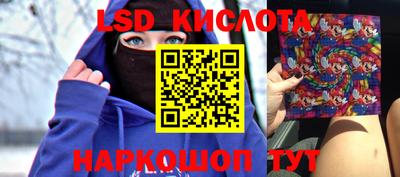 прущие грибы Кимры
