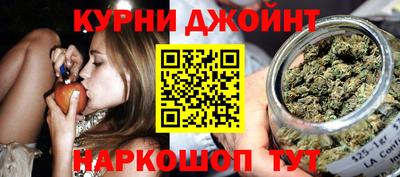 стафф Кингисепп
