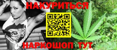 стафф Кингисепп