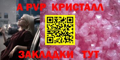 стафф Кингисепп