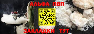 стафф Кингисепп