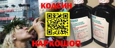 стафф Кингисепп