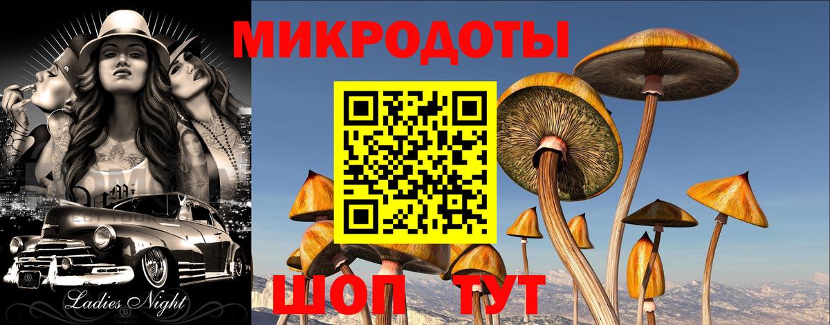 Котлас  Галлюциногенные грибы ЛСД  Вход с VPN  Галлюциногенные грибы Psilocybe 