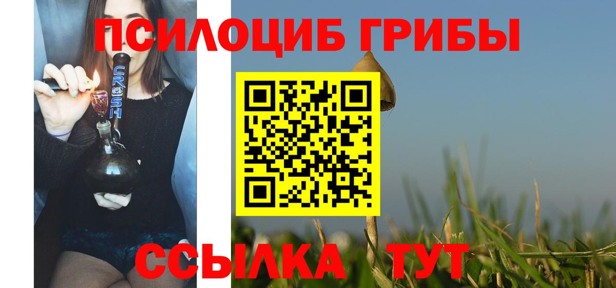 Псилоцибиновые грибы мицелий Котлас